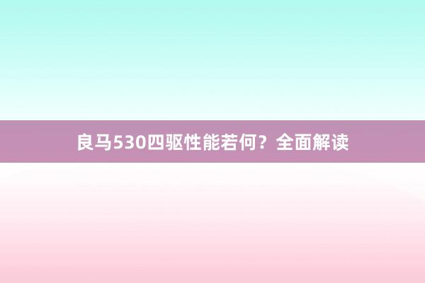 良马530四驱性能若何？全面解读